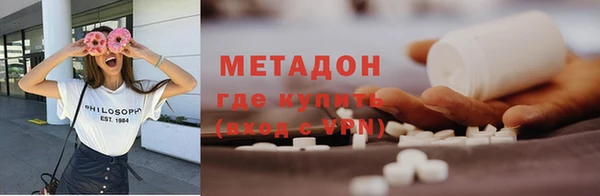 сатива Коряжма