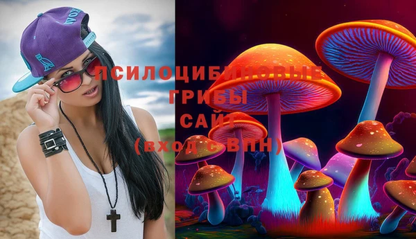 эйфоретик Кукмор