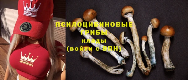 альфа пвп Кулебаки