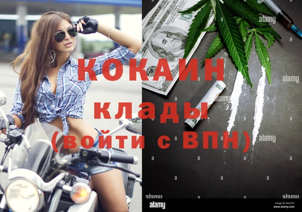 эйфоретик Кукмор