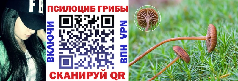 Псилоцибиновые грибы Psilocybine cubensis  Называевск 